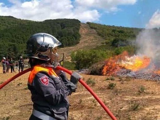 Risque élevé d’incendies : le ministère de l’Agriculture appelle à une vigilance maximale