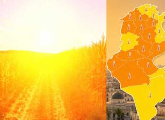 La Tunisie placée en vigilance élevée face à une vague de chaleur sur la quasi-totalité du pays