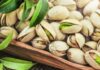 Gafsa : une production record de 4 900 tonnes de pistaches attendue en 2026