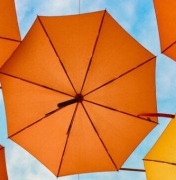 Canicule en Tunisie : alerte orange dans plusieurs régions avec des températures atteignant 45°C