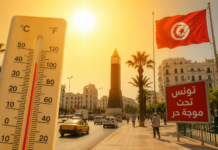 Canicule en Tunisie : le pic de chaleur atteindra 49 °C demain dans plusieurs régions !