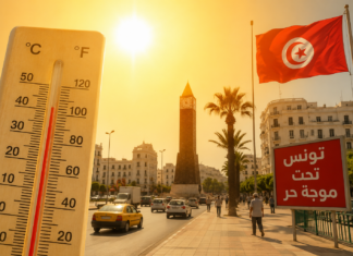 Canicule en Tunisie : le pic de chaleur atteindra 49 °C demain dans plusieurs régions !