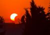 Éclipse solaire partielle : le ciel tunisien offre un spectacle exceptionnel