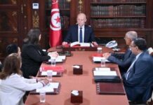 Pollution à Radès : Kaïs Saïed exige des mesures fermes contre les pollueurs