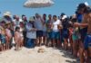 Ghar El Melh : une tortue marine relâchée après trois mois de soins