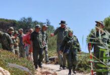 Bizerte : une équipe technique évalue les dégâts de l’incendie de la forêt de Ghar El Melh et prépare sa réhabilitation