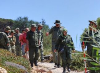 Bizerte : une équipe technique évalue les dégâts de l’incendie de la forêt de Ghar El Melh et prépare sa réhabilitation