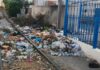 TGM : l’accumulation des déchets menace la modernisation de la ligne