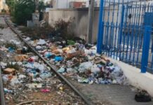 TGM : l’accumulation des déchets menace la modernisation de la ligne