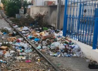 TGM : l’accumulation des déchets menace la modernisation de la ligne