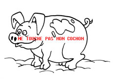 cochon-300409.jpg