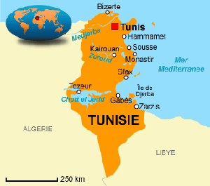 carte-tunisie03102011.gif