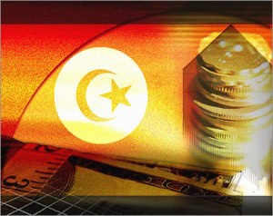 dev-tunisie-partis-22072011.jpg
