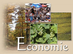 economie150911-1.jpg