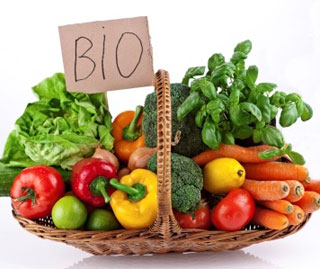 bio-agriculture-05042013.jpg