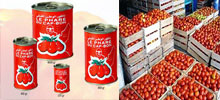 tomates-545454545.jpg