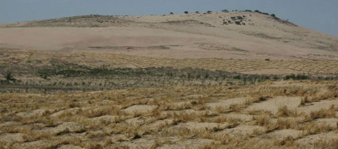 desertification-tunisie-680.jpg