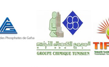 Tunisie : le GCT et ses partenaires indiens accélèrent la relance de TIFERT