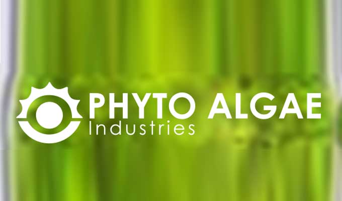 phytoalgae-industrie.jpg