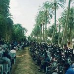 Le ministère des Domaines de l’Etat crée un groupe de travail sur la gestion des oasis de Jemna