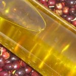 Tataouine : La production de l’huile d’olive a atteint 5300 tonnes, soit une hausse de 32%