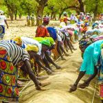 Quand l’incertitude de “sécurité alimentaire” devient une opportunité pour l’Afrique (Etude)