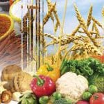 Un nouveau programme d’assistance technique pour la sécurité alimentaire en Méditerranée Agroalimentaire