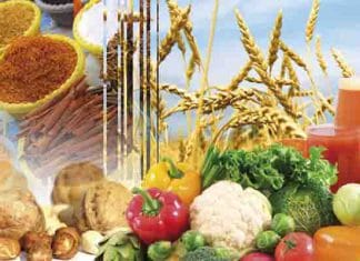 Tunisie : vers une meilleure coordination intersectorielle pour soutenir les agriculteurs et assurer la sécurité alimentaire Agroalimentaire