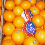 Tunisie : Baisse de 20% de la récolte des agrumes
