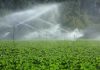 Jendouba : lancement d’un mécanisme de soutien pour une agriculture résiliente face aux changements climatiques
