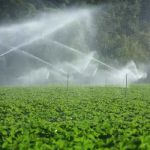 Jendouba : lancement d’un mécanisme d’appui pour la gestion durable de l’eau et des sols dans le cadre du projet ReGnR