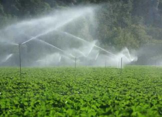 Jendouba : lancement d’un mécanisme de soutien pour une agriculture résiliente face aux changements climatiques