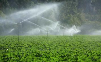 Jendouba : lancement d’un mécanisme de soutien pour une agriculture résiliente face aux changements climatiques