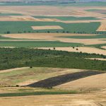 La recette pour lancer un projet d’intérêt national sur des terres domaniales non agricoles