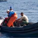 Pêche durable en Tunisie : Une plateforme technologique Blockchain pour suivre la supply chain Pêche