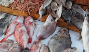 tunisie-consommation-poisson