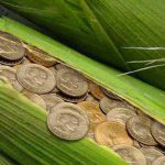 APIA : Feu vert pour 3,3 millions de dinars d’investissements agricoles et deux prêts fonciers