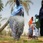 Crise alimentaire en Afrique de l’ESt : 10 millions de dollars d’aide du Fonds africain de développement
