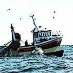 L’Italie, premier importateur des produits de la pêche tunisiens Pêche