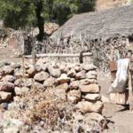 La Tunisie compterait plus de 4 millions de pauvres, selon Malek Ezzahi