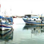 Pêche en Méditerranée : 65 % des ressources halieutiques jugées non durables selon la FAO