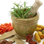 La Tunisie compte 60 entreprises spécialisées dans les plantes aromatiques et médicinales
