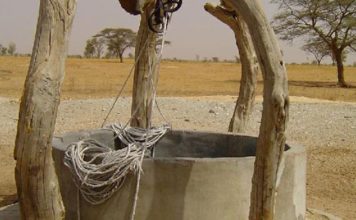 Tataouine : les eaux salées, une opportunité pour diversifier les cultures Puit
