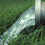 Nabeul : des terres agricoles endommagées par une fuite d’eaux traitées à Menzel Temime