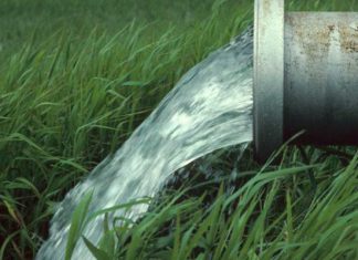 Souveraineté alimentaire : les eaux usées traitées deviennent un levier stratégique pour l’agriculture tunisienne