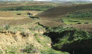 tunisie-erosion-terres-agricoles