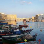 Bizerte : Octroi de 15 contrats de propriétés et régulation de la situation des terres domaniales agricoles