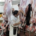 Tataouine : Les travaux de construction d’un abattoir moderne à Remada ont démarré