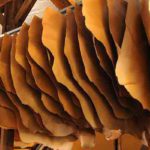 Cuir et chaussures : les exportations tunisiennes atteignent 2,18 milliards de dinars en 2024