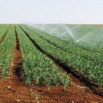 Agriculture : le projet du Continental intercalaire renforce les ressources hydriques à Hazoua